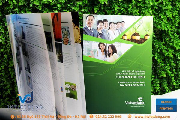 In brochure tại Hà Nội