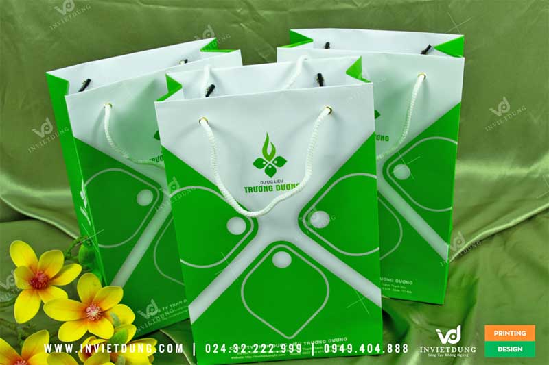 Mẫu túi giấy công ty đựng sản phẩm dược liệu Trương Dương