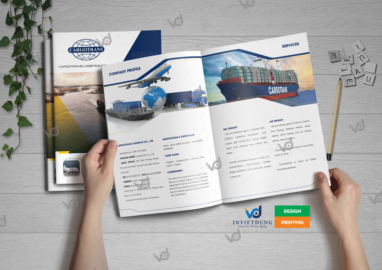Thiết kế profile công ty Cargotrans