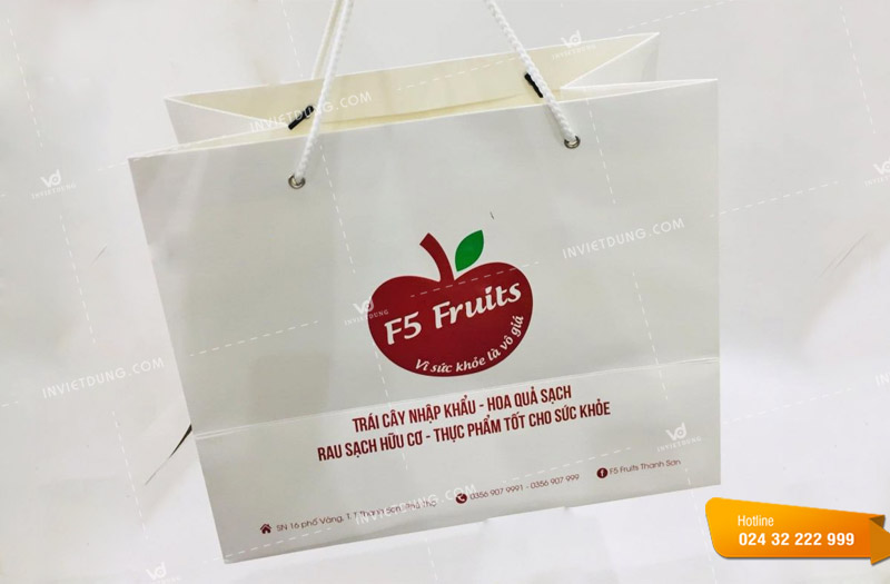 Mẫu túi giấy đựng trái cây, hoa quả shop F5 Fruits