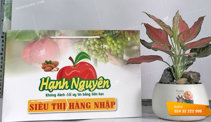 Bao bì túi giấy đựng hoa quả cửa hàng Hạnh Nguyên
