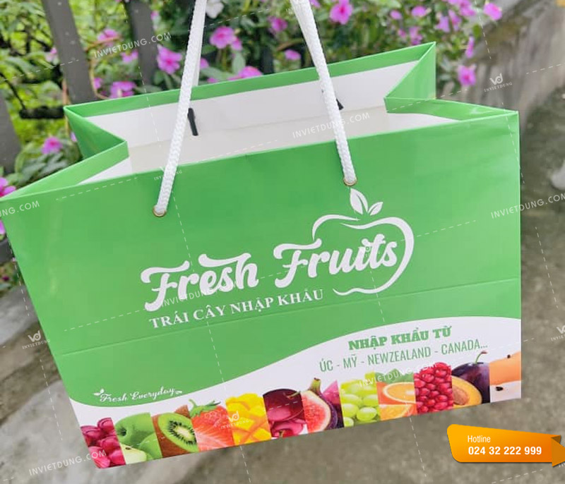 Bao bì túi đựng hoa quả bằng giấy do In Việt Dũng thiết kế và in ấn