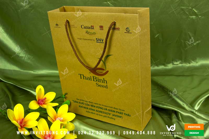 Mẫu túi giấy công ty ThaiBinh Seed 