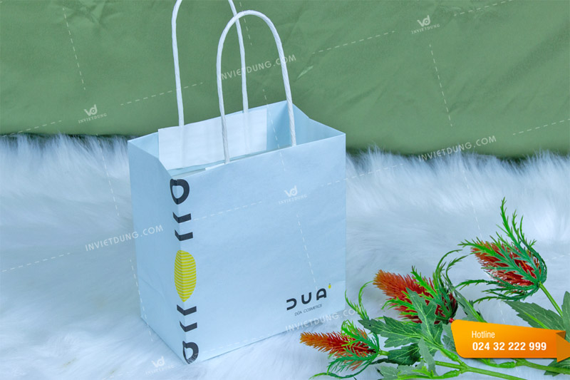 Mẫu túi giấy mỹ phẩm shop DUA Cosmetic