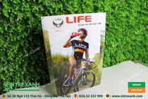 Tuyển chọn những mẫu tờ rơi đẹp nhà thuốc