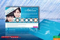 In tờ rơi tại huyện Chương Mỹ